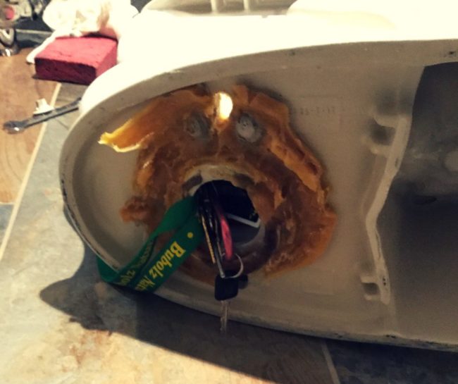 Keys stuck in toilet