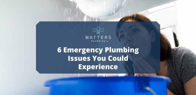 Photo of leaking water under a sink and text that says, "6 Emergency Plumbing Issues You Could Experience"