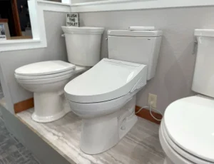 Aging in Place Toilet